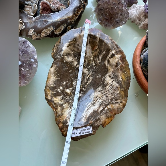 Petrified Wood Bowl - Picture 7 of 8